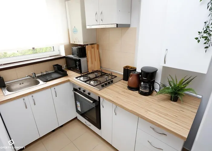 Elegant Concept Apartament *